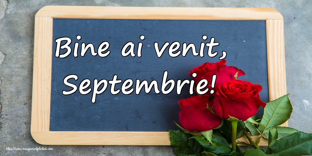 Felicitari de 1 Septembrie - Bine ai venit, Septembrie!