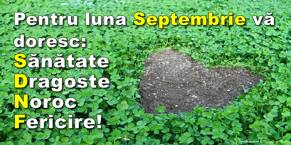 Felicitari de 1 Septembrie - Pentru luna Septembrie vă doresc: Sănătate, Dragoste, Noroc, Fericire!