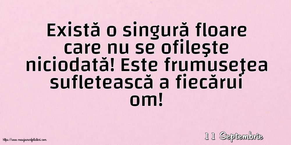 Felicitari de 11 Septembrie - 11 Septembrie - Există o singură floare care nu se ofileşte niciodată