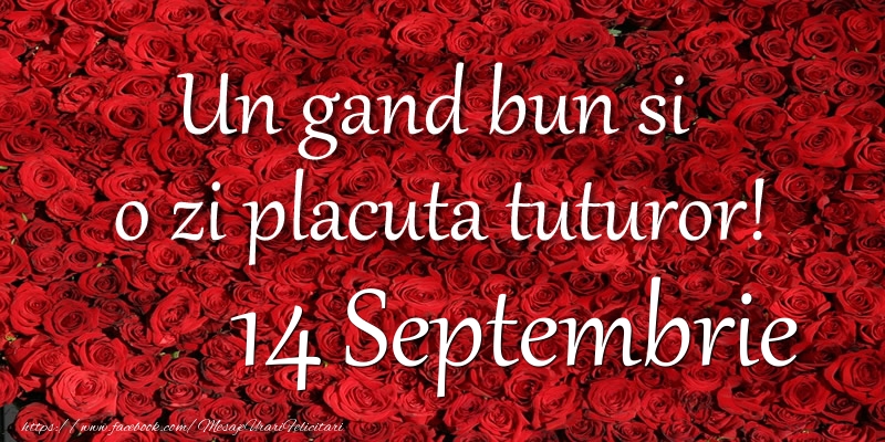 Un gand bun si  o zi placuta tuturor! Septembrie 14