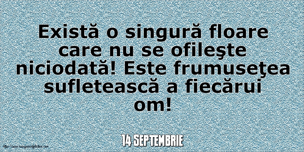 Felicitari de 14 Septembrie - 14 Septembrie - Există o singură floare care nu se ofileşte niciodată