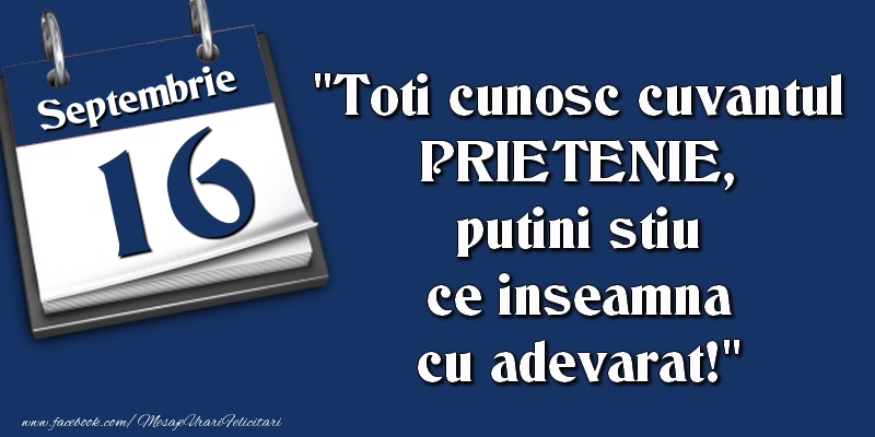 Toti cunosc cuvantul PRIETENIE, putini stiu ce inseamna cu adevarat! 16 Septembrie