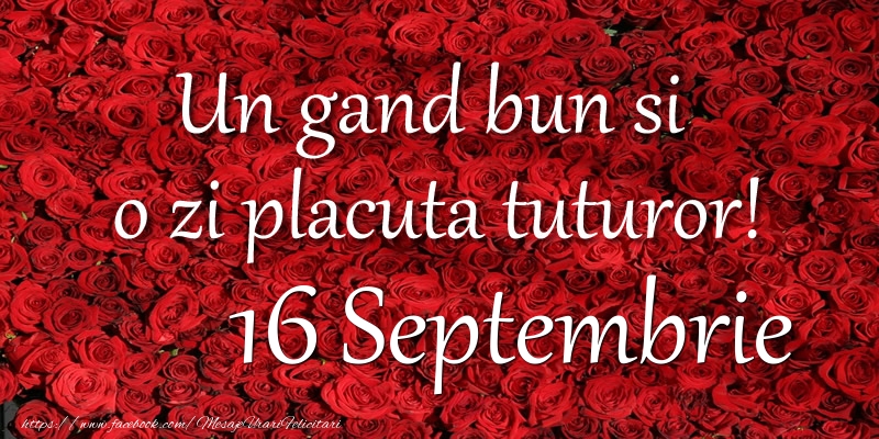 Un gand bun si  o zi placuta tuturor! Septembrie 16
