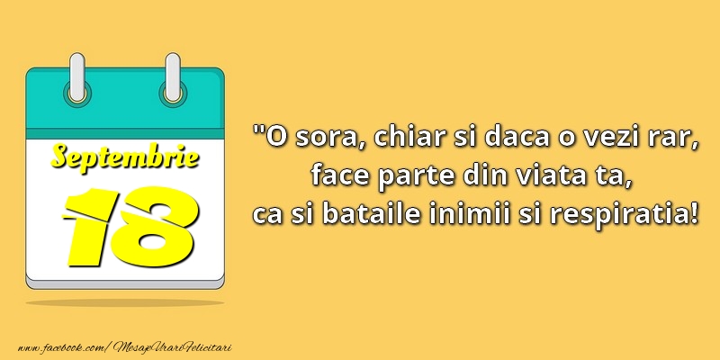 O soră, chiar şi dacă o vezi rar, face parte din viata ta, ca şi bătăile inimii şi respiraţia! 18Septembrie