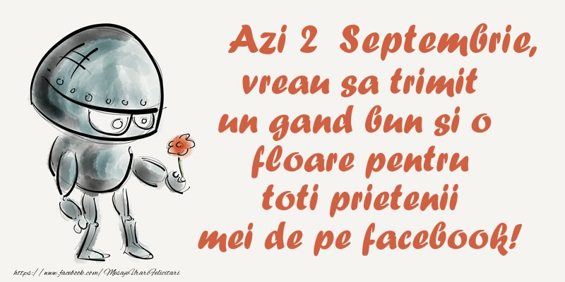 Azi 2 Septembrie, vreau sa trimit un gand bun si o floare pentru toti prietenii mei de pe facebook!