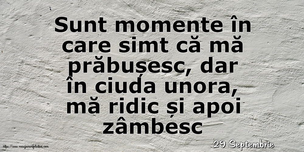 29 Septembrie - Sunt momente în care simt că mă prăbușesc