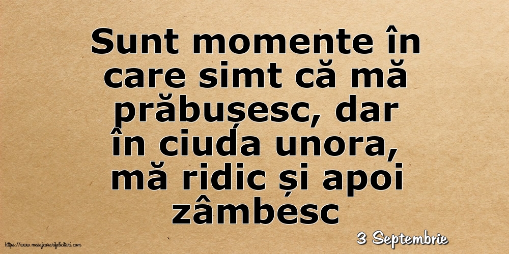 Felicitari de 3 Septembrie - 3 Septembrie - Sunt momente în care simt că mă prăbușesc