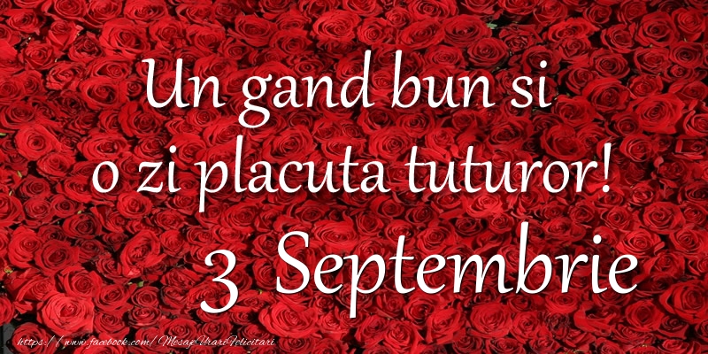 Un gand bun si  o zi placuta tuturor! Septembrie 3