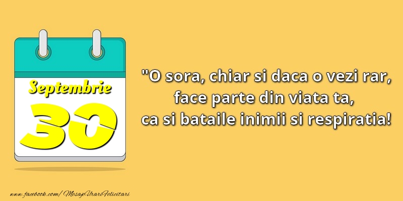 O soră, chiar şi dacă o vezi rar, face parte din viata ta, ca şi bătăile inimii şi respiraţia! 30Septembrie
