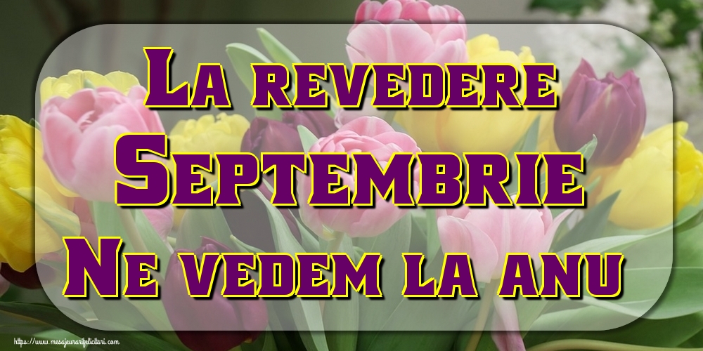 Felicitari de 30 Septembrie - La revedere, Septembrie! Ne vedem la anu'!