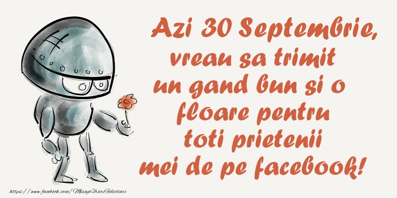 Azi 30 Septembrie, vreau sa trimit un gand bun si o floare pentru toti prietenii mei de pe facebook!
