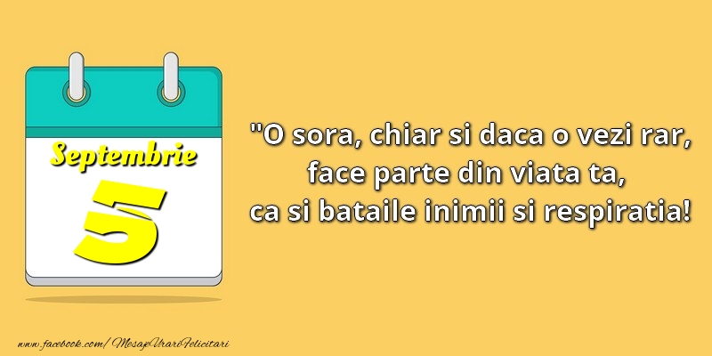 O soră, chiar şi dacă o vezi rar, face parte din viata ta, ca şi bătăile inimii şi respiraţia! 5Septembrie