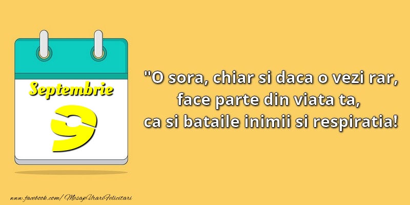 O soră, chiar şi dacă o vezi rar, face parte din viata ta, ca şi bătăile inimii şi respiraţia! 9Septembrie