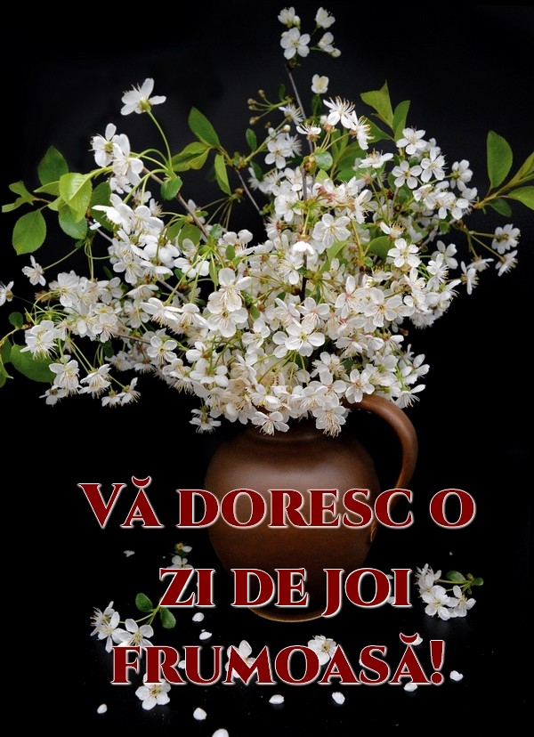 Vă doresc o zi de joi frumoasă!