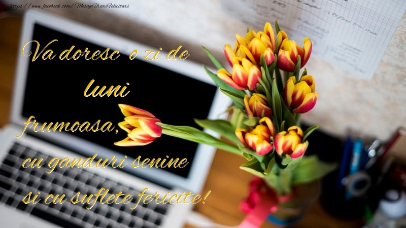 Va doresc o zi de luni frumoasa, cu ganduri senine si cu suflete fericite!