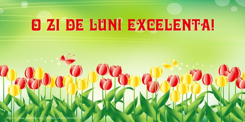 O zi de luni excelenta!