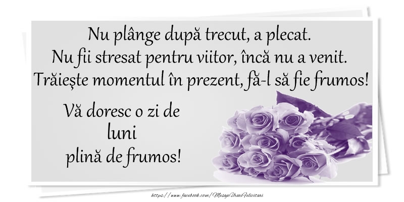 Va doresc o zi de luni plina de frumos!