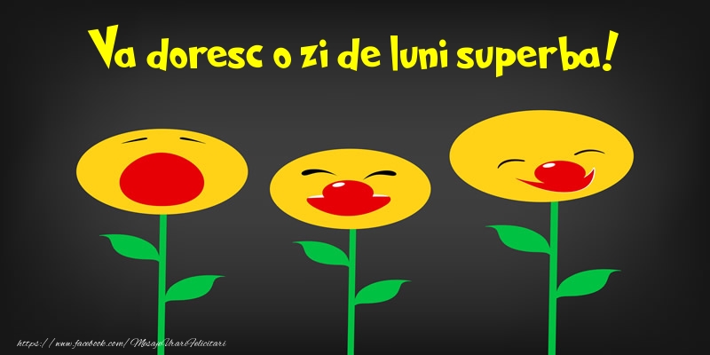 Va doresc o zi de luni superba!