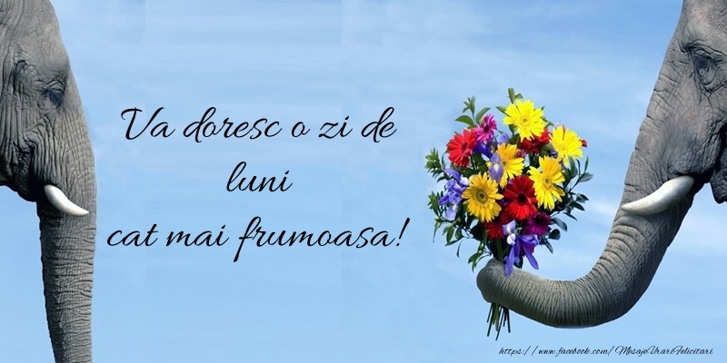 Va doresc o zi de luni cat mai frumoasa!