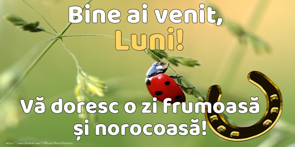 Bine ai venit, luni! Vă doresc o zi frumoasă și norocoasă!