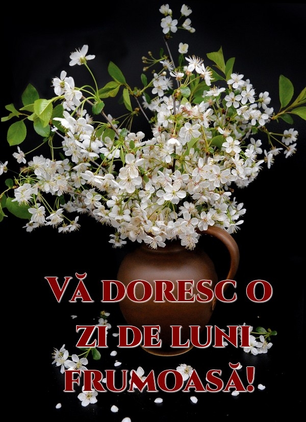 Vă doresc o zi de luni frumoasă!