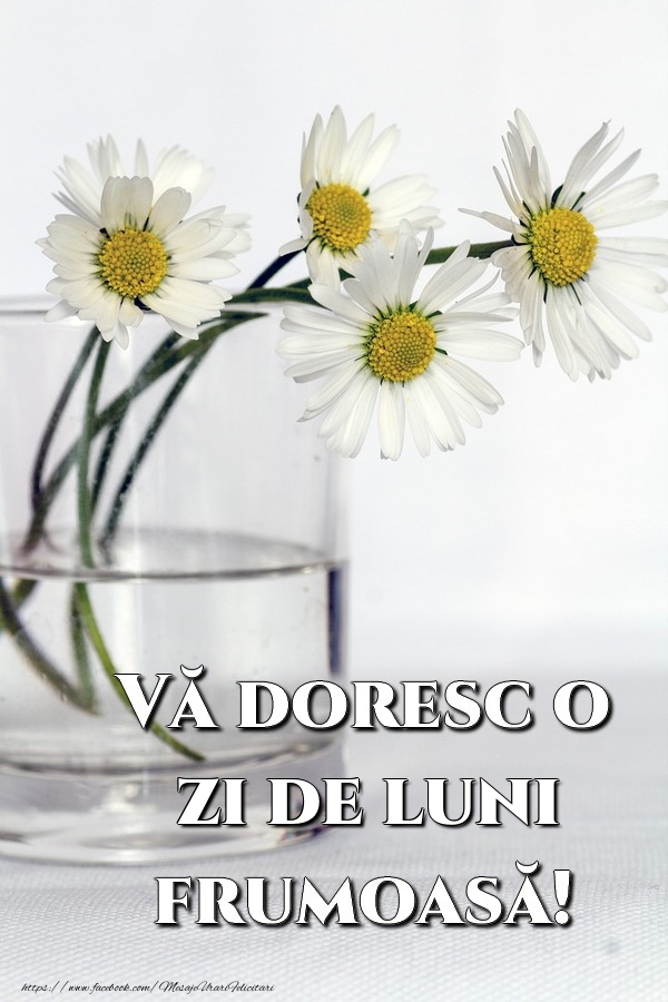 Vă doresc o zi de luni frumoasă!