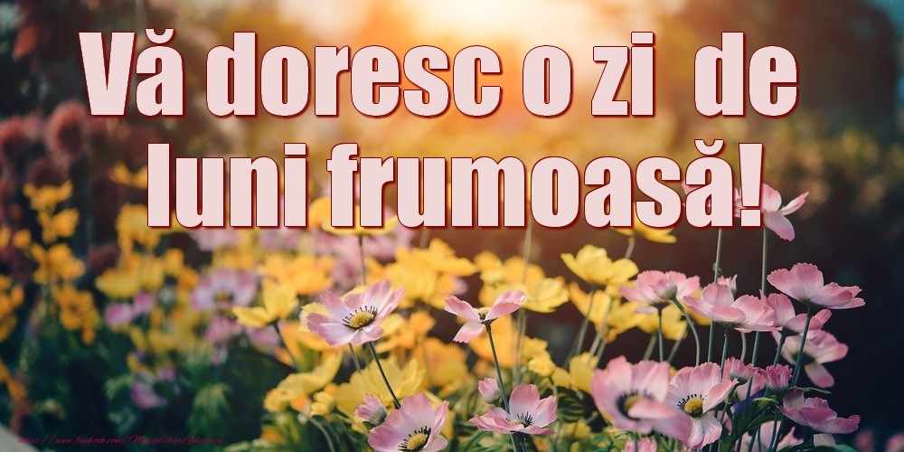 Vă doresc o zi de luni frumoasă