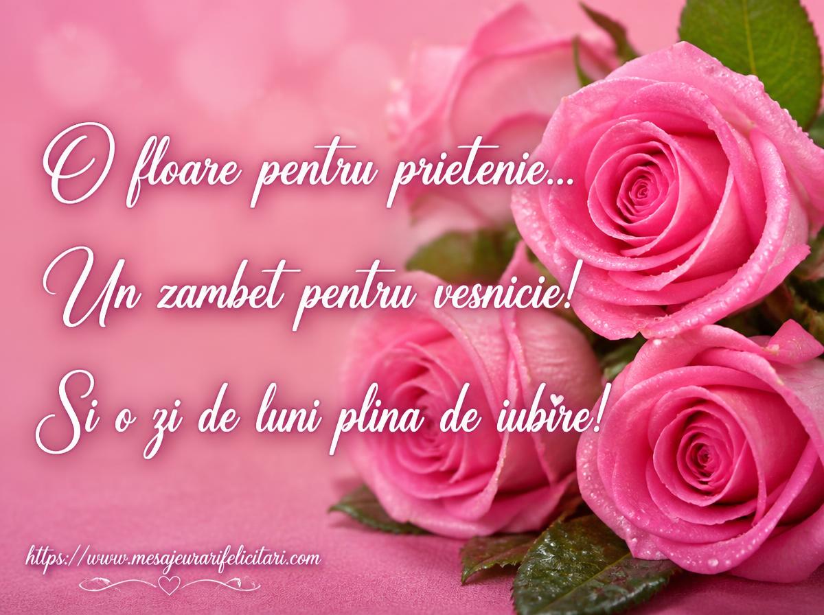 O floare pentru prietenie Un zambet pentru vesnicie! Si o zi de luni plina de iubire!