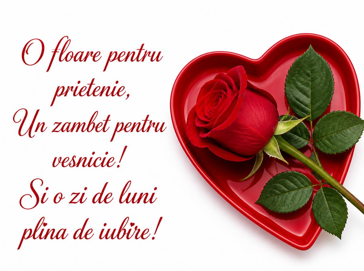 O floare pentru prietenie Un zambet pentru vesnicie! Si o zi de luni plina de iubire!