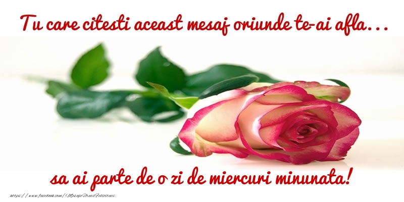 Tu care citesti aceast mesaj oriunde te-ai afla... sa ai parte de o zi de miercuri minunata!