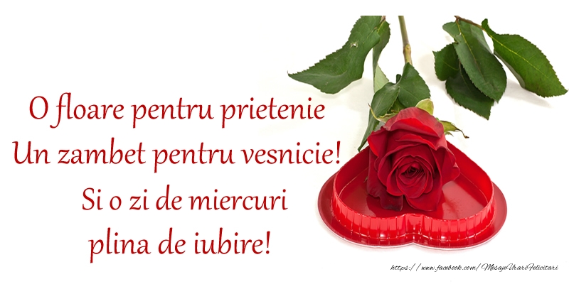 O floare pentru prietenie Un zambet pentru vesnicie! Si o zi de miercuri plina de iubire!