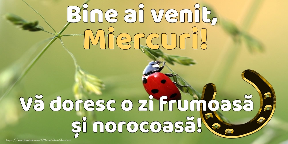Bine ai venit, miercuri! Vă doresc o zi frumoasă și norocoasă!