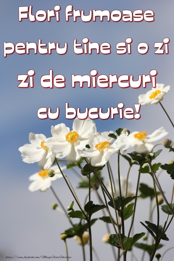 Flori frumoase pentru tine si o zi de miercuri cu bucurie