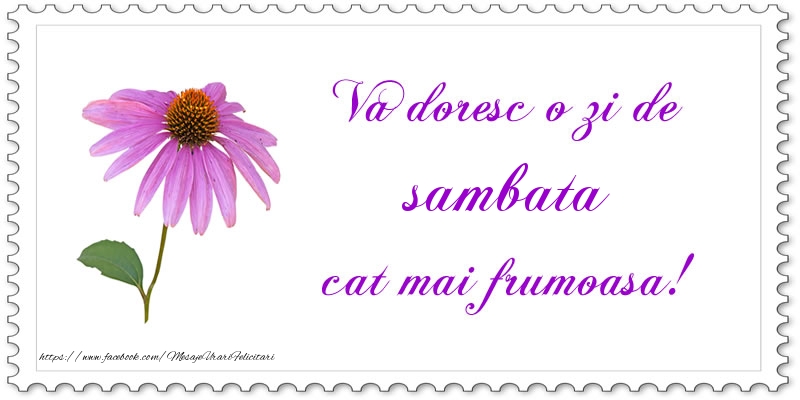 Va doresc o zi de sambata cat mai frumoasa!
