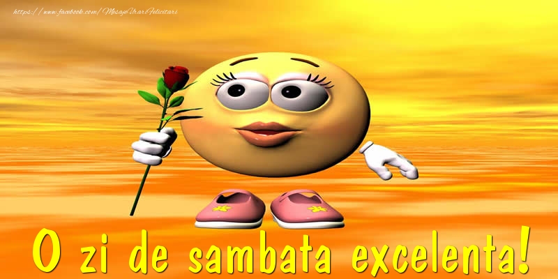 O zi de sambata excelenta!