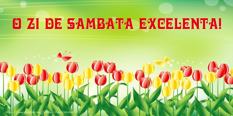 O zi de sambata excelenta!