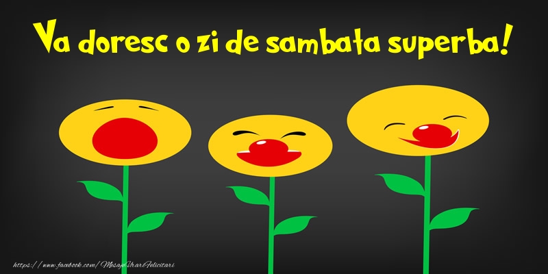 Va doresc o zi de sambata superba!