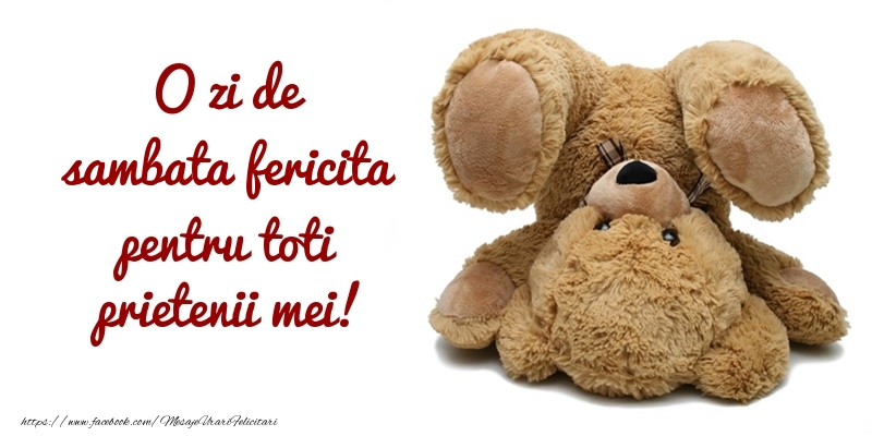 O zi de sambata pentru toti prietenii mei!