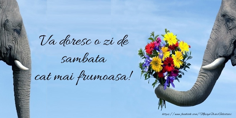 Va doresc o zi de sambata cat mai frumoasa!