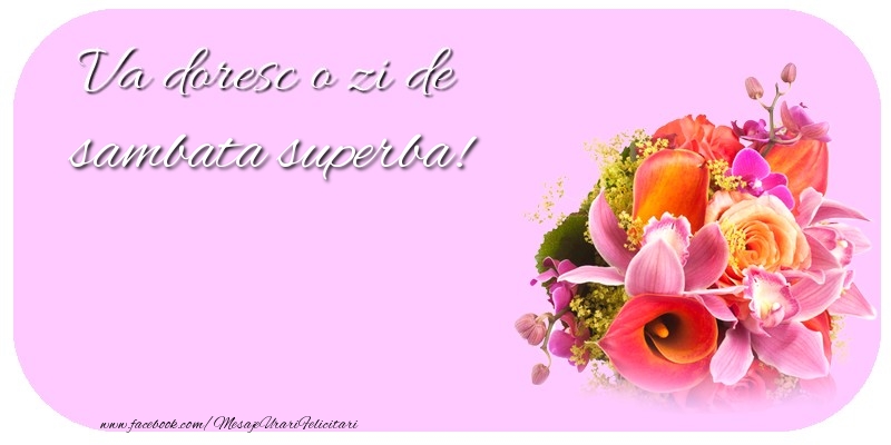 Va doresc o zi de sambata superba!