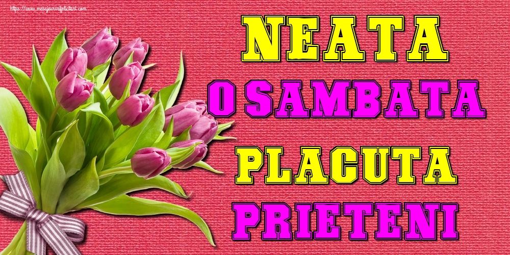 Neata! O sambata placuta prieteni!