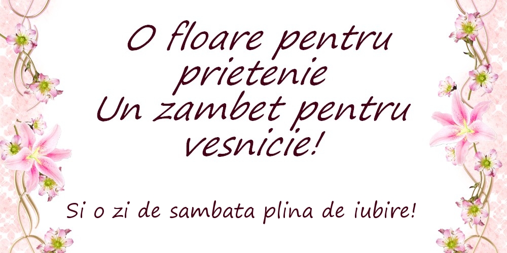 O floare pentru prietenie Un zambet pentru vesnicie! Si o zi de sambata plina de iubire!
