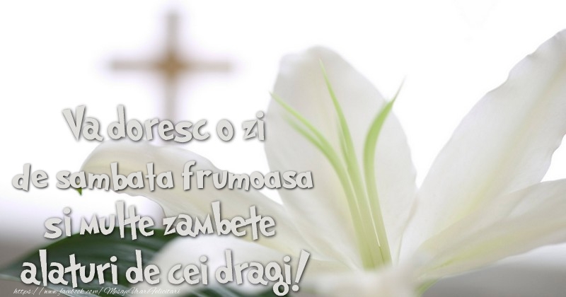 Va doresc o zi de sambata frumoasa si multe zambete alaturi de cei dragi!