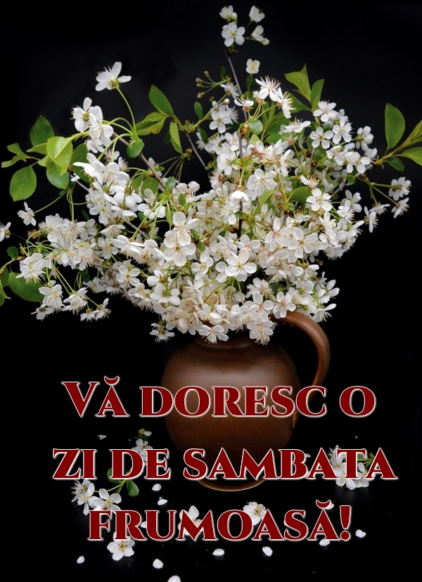 Vă doresc o zi de sambata frumoasă!