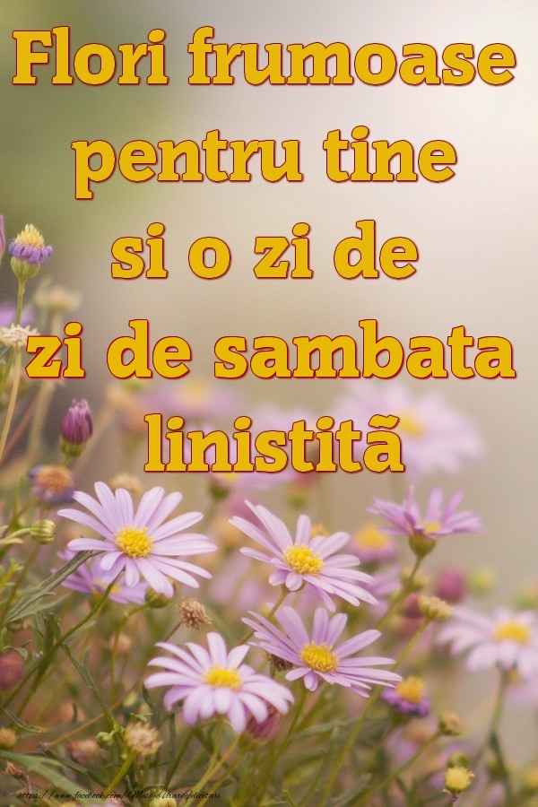 Flori frumoase pentru tine si o zi de sambata liniștită