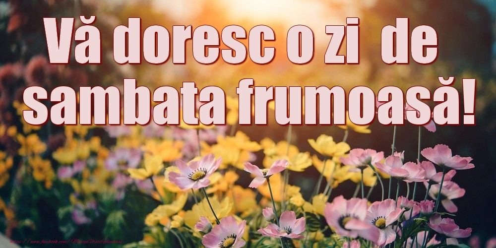 Vă doresc o zi de sambata frumoasă