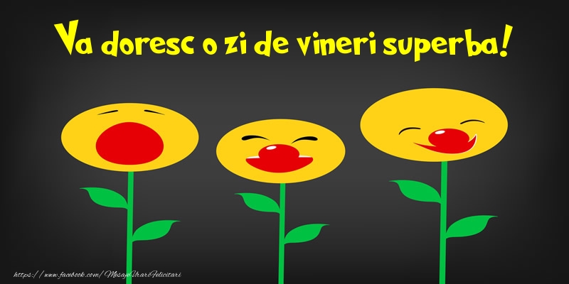 Va doresc o zi de vineri superba!