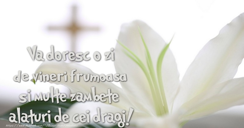 Va doresc o zi de vineri frumoasa si multe zambete alaturi de cei dragi!